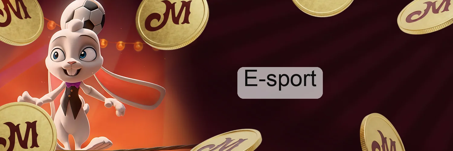 E-sport E-sport