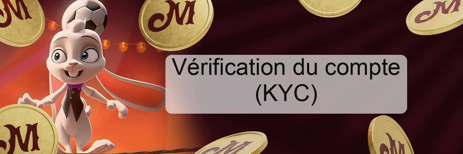 Vérification du compte (KYC) Vérification du compte (KYC)